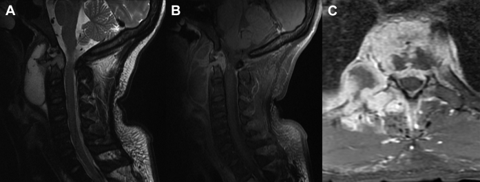 Fig. 2