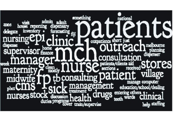 Figure 2. Day to day responsibilities of healthcare personnel