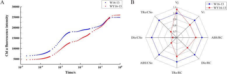 Fig. 9