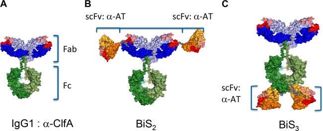 FIG 3