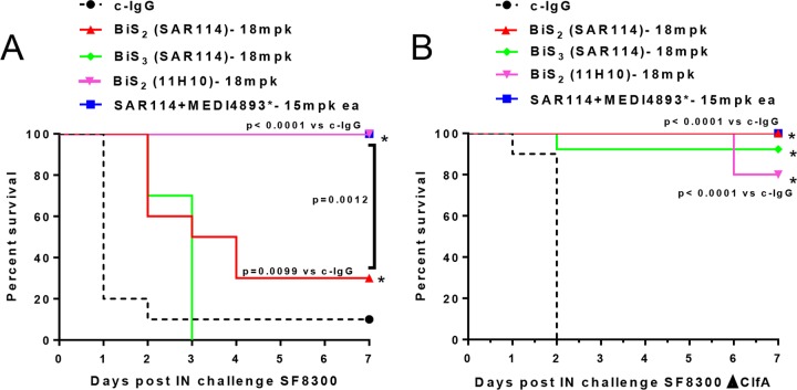 FIG 6