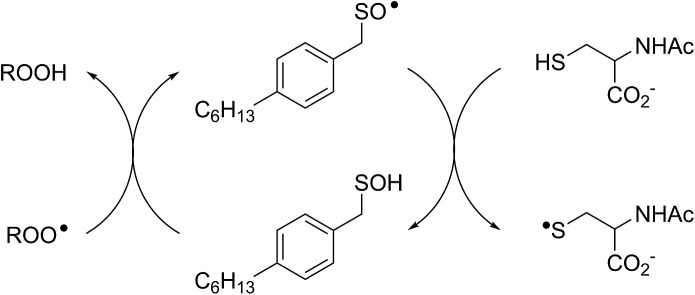 Scheme 4