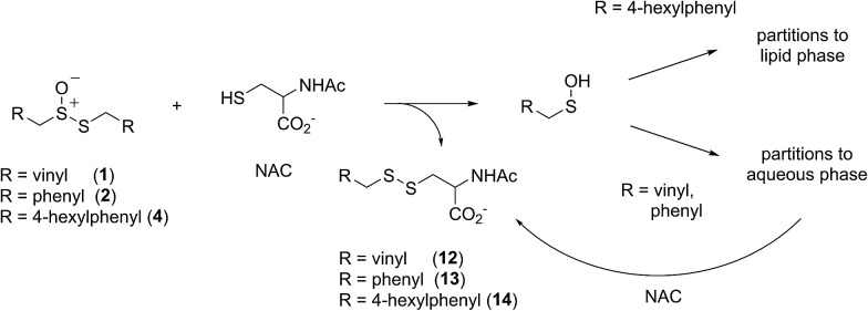 Scheme 3