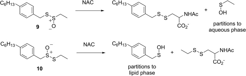 Scheme 5