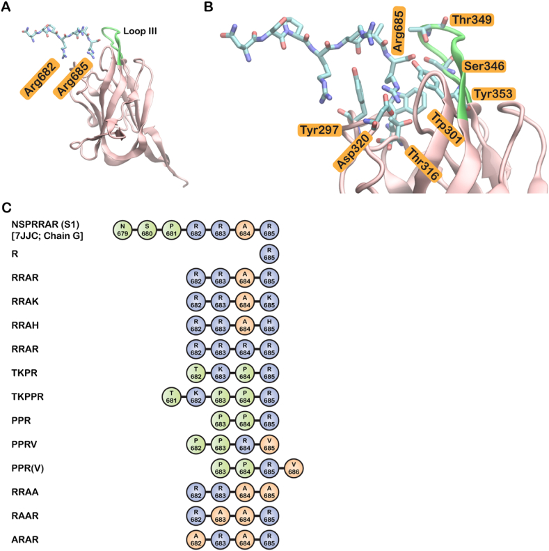 Figure 1