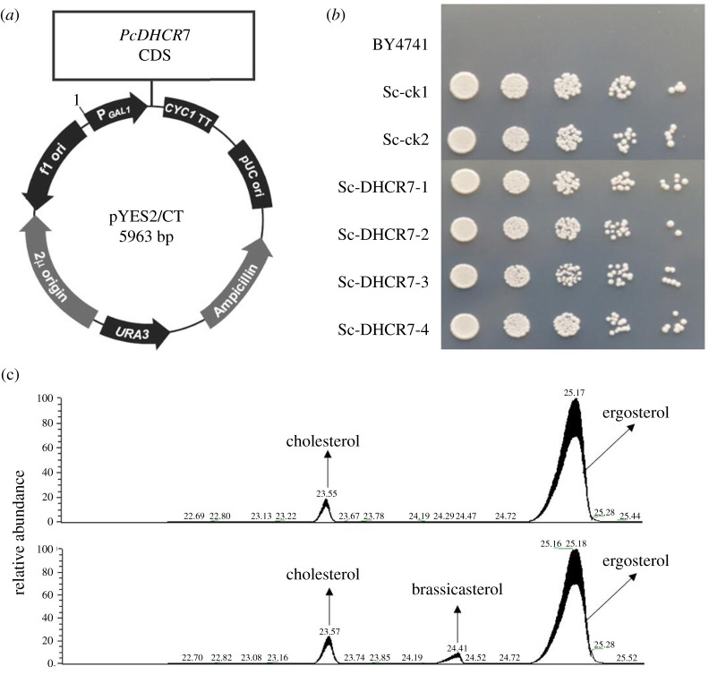 Figure 2. 