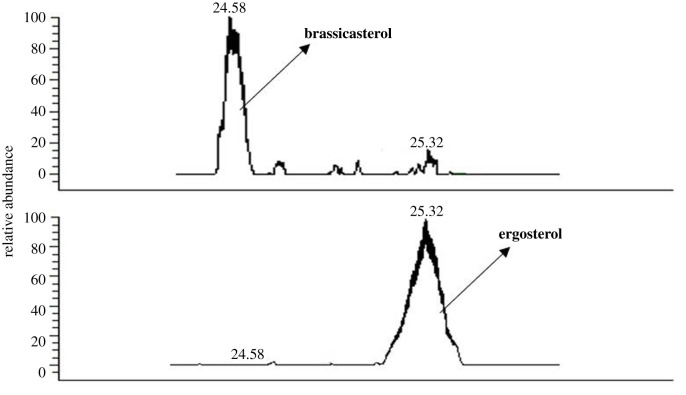 Figure 3. 