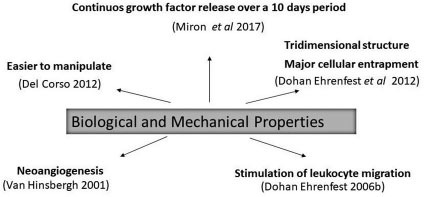 Fig.1