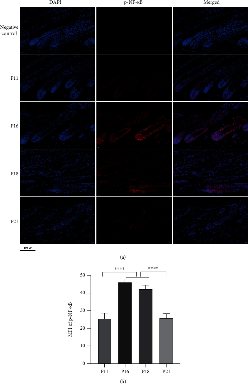 Figure 17