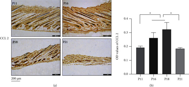 Figure 18