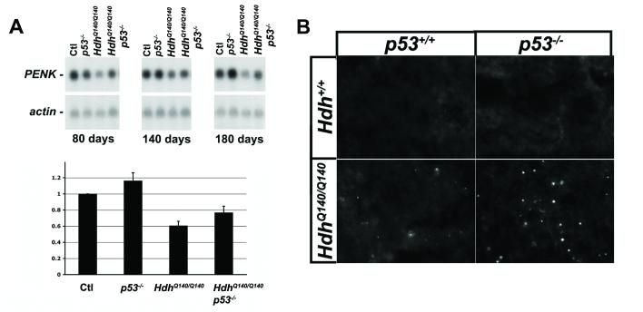 Fig.3