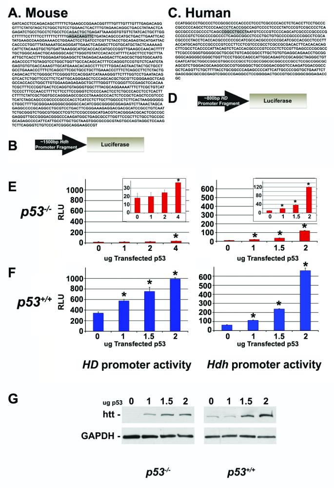 Fig.2