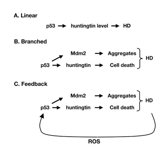 Fig.4