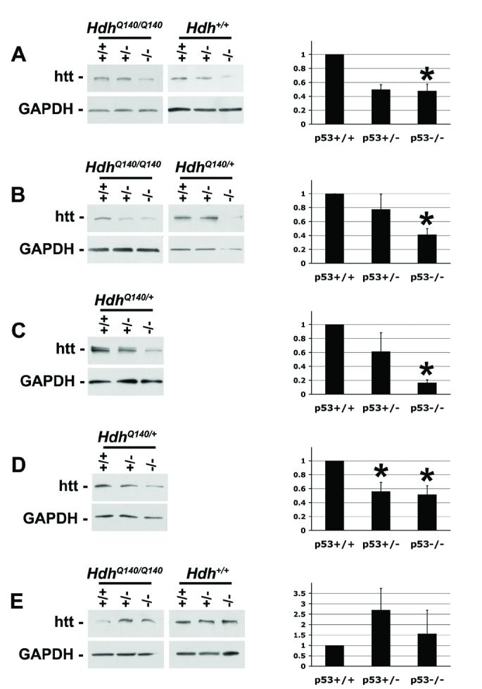 Fig.1