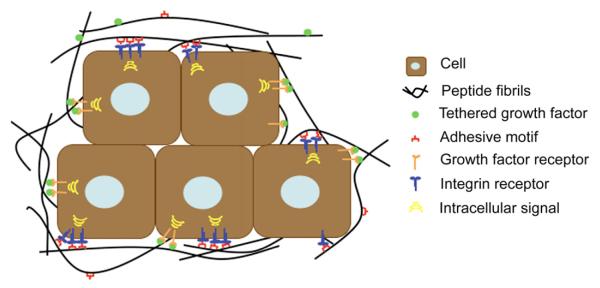 Fig. 9