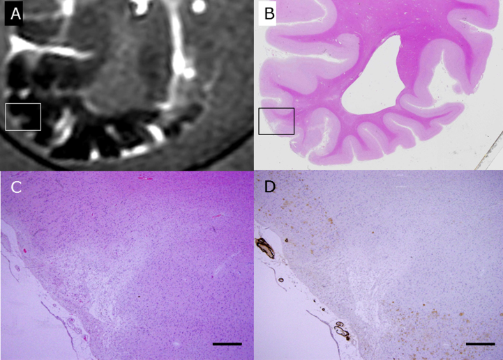 Fig.4