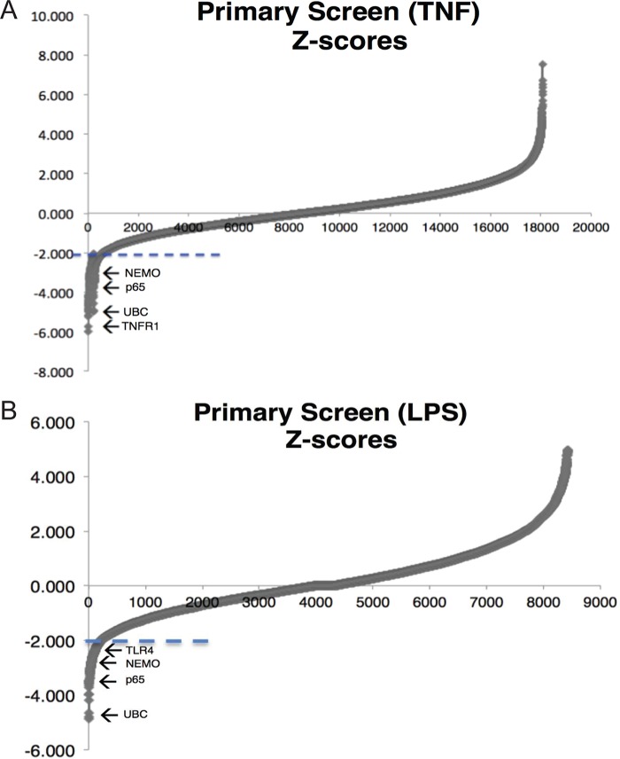 FIG 2