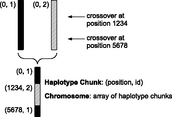 Fig. 1.