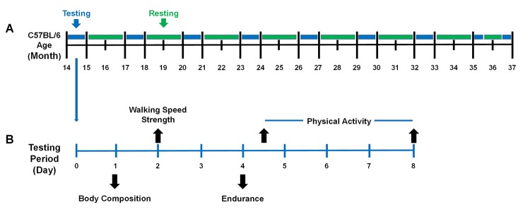 Figure 8