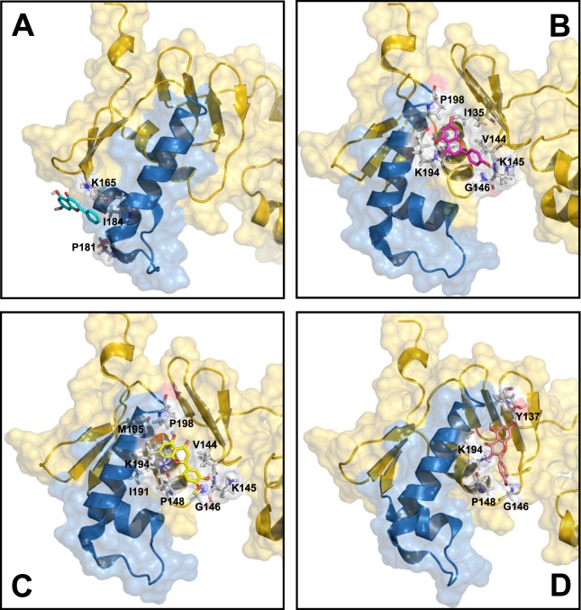 Figure 5