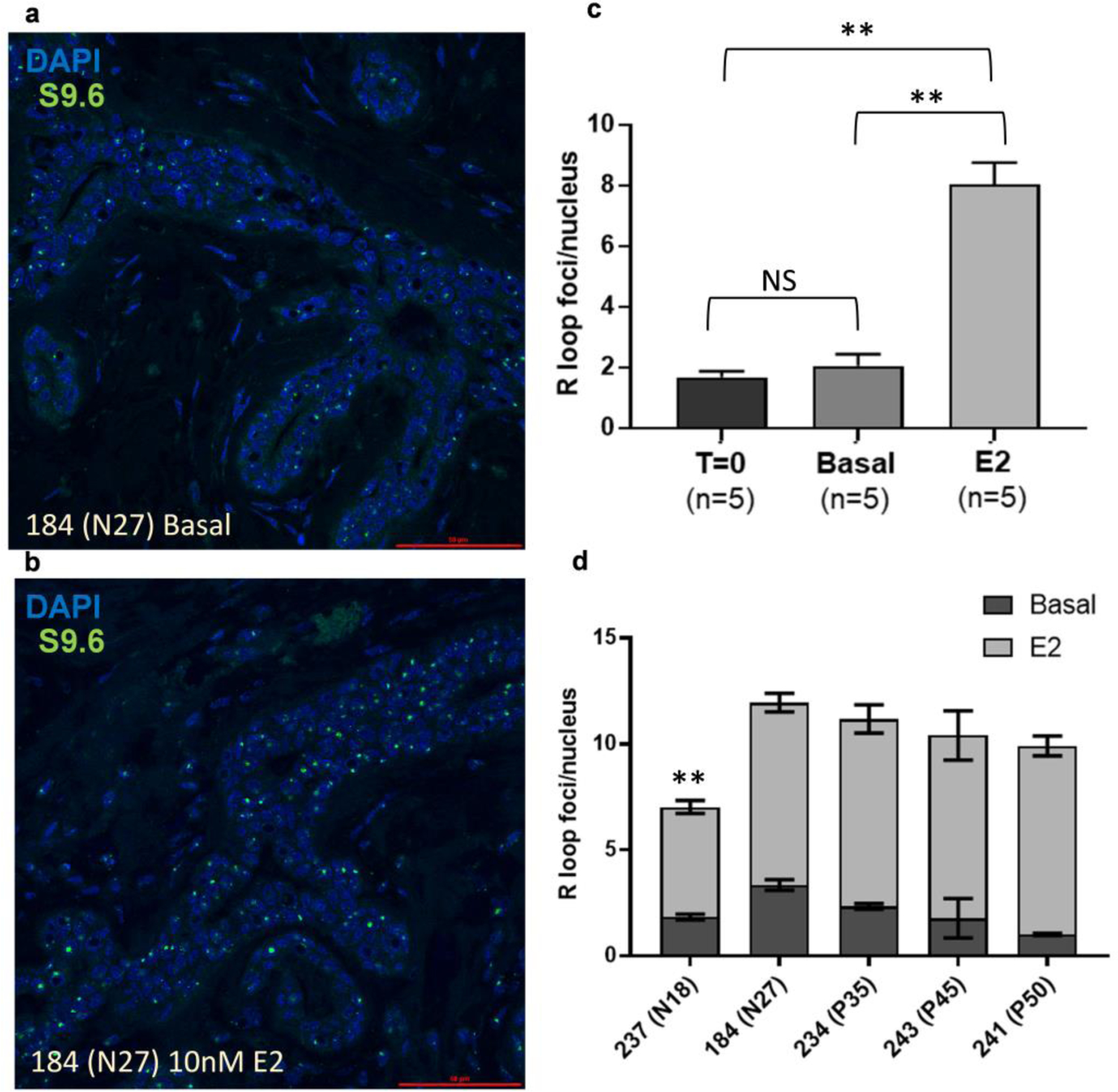 Fig. 4: