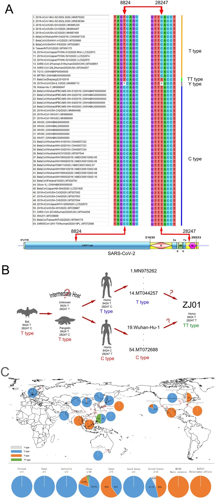 Figure 3.