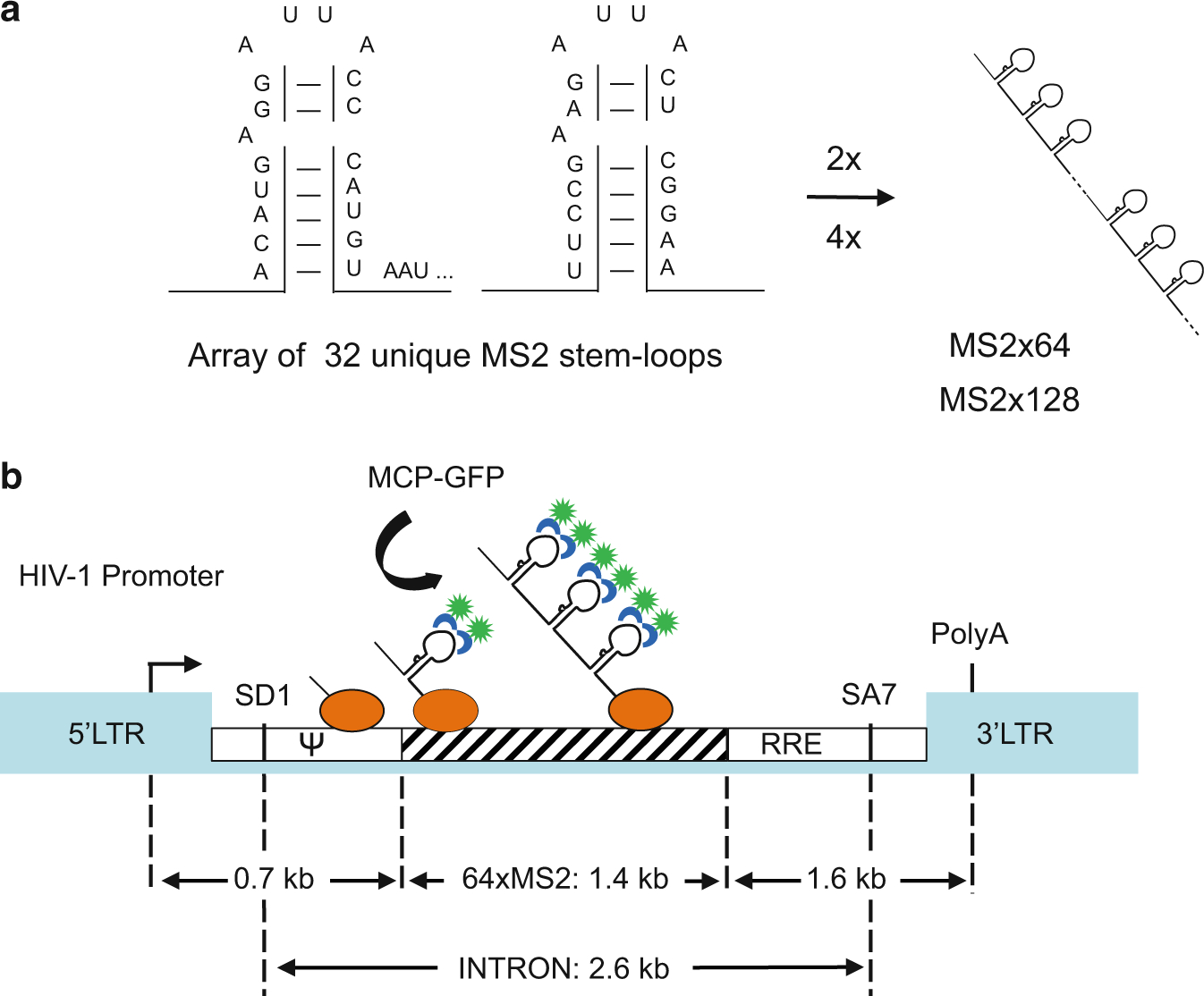 Fig. 4