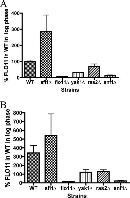 FIG. 6.