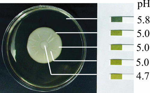 FIG. 9.