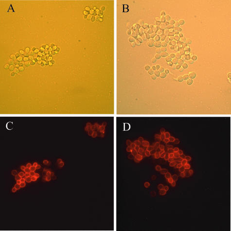 FIG. 8.