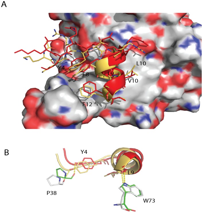 Figure 5