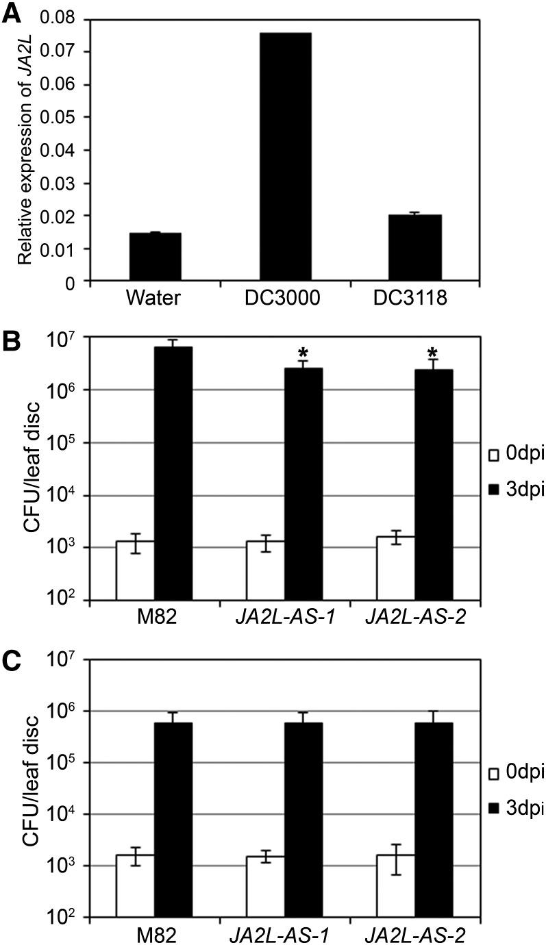 Figure 6.