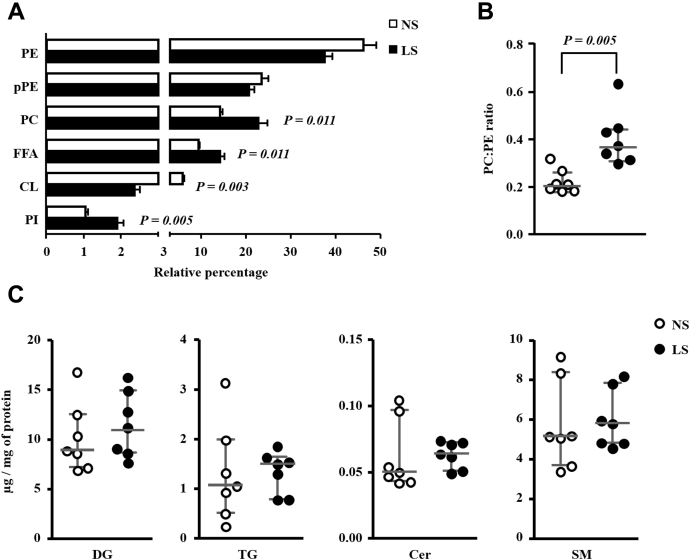 Figure 6