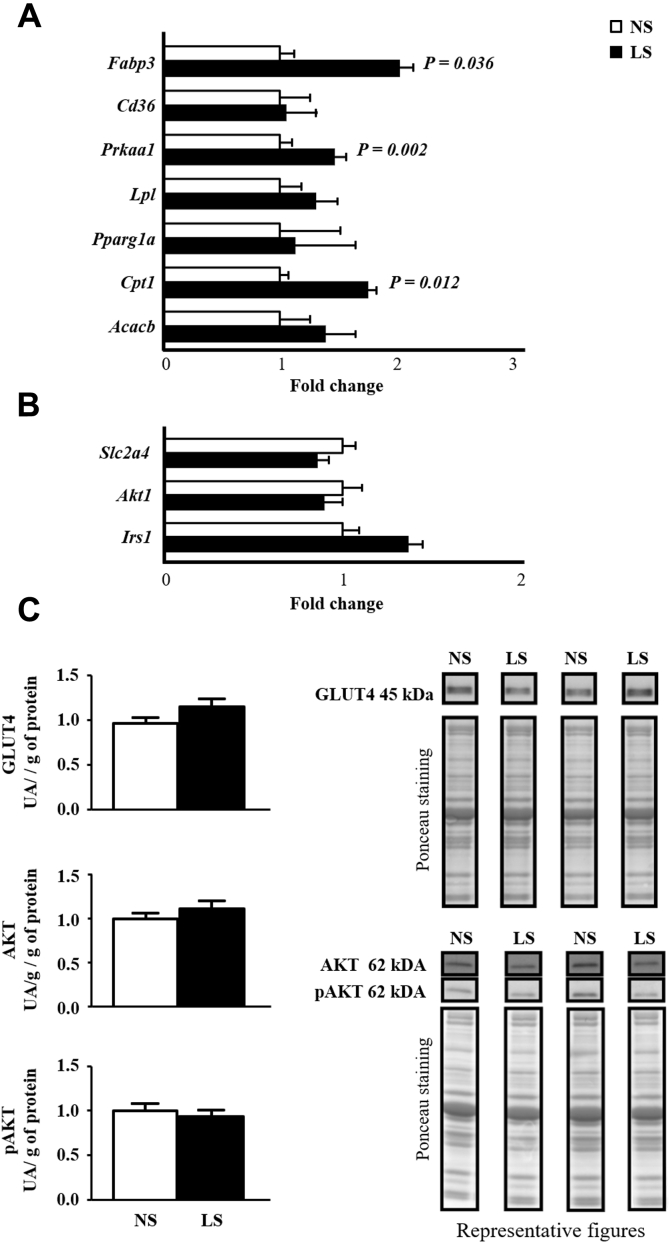 Figure 3