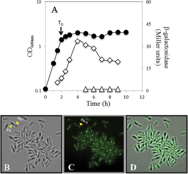 FIG 3