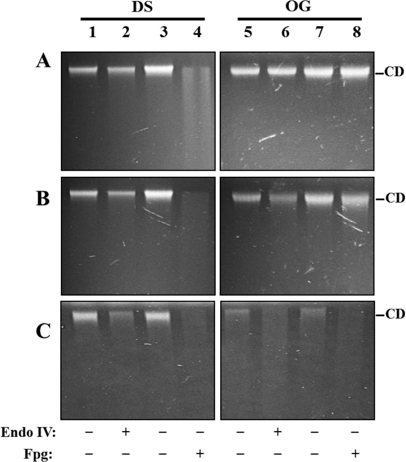 FIG 1