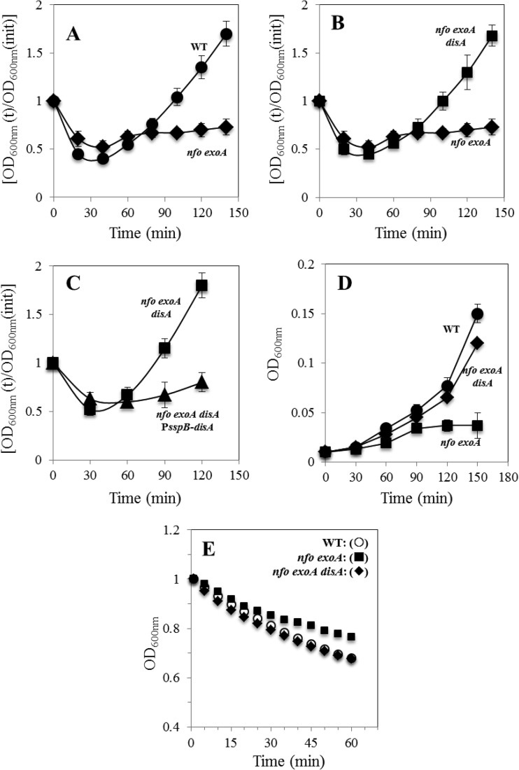 FIG 2