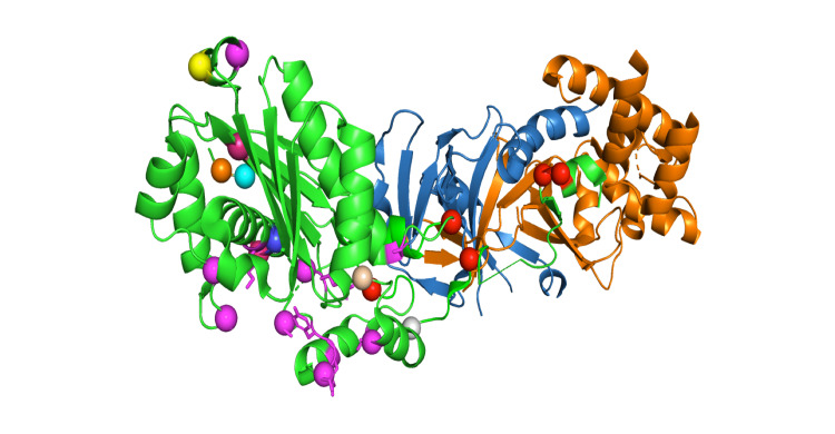 Figure 4
