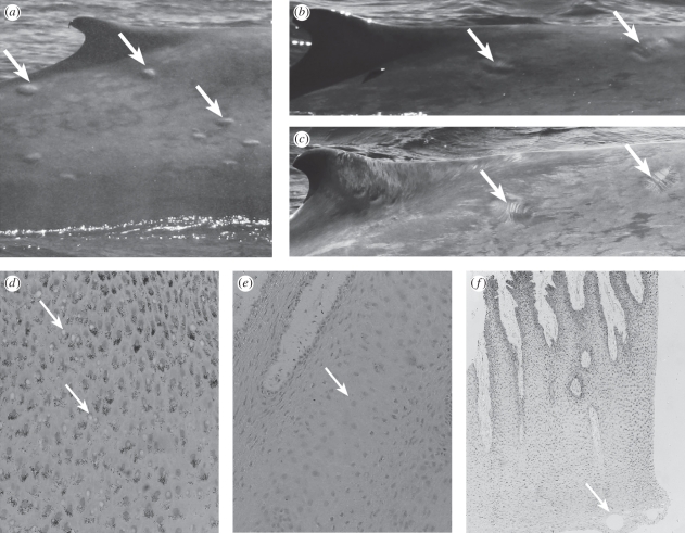 Figure 2.