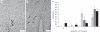 Figure 4.
