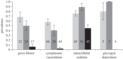 Figure 3.