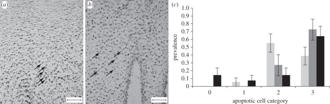 Figure 4.