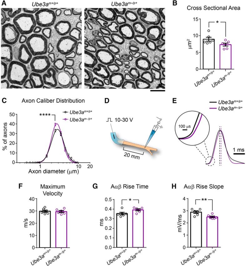 Figure 10.