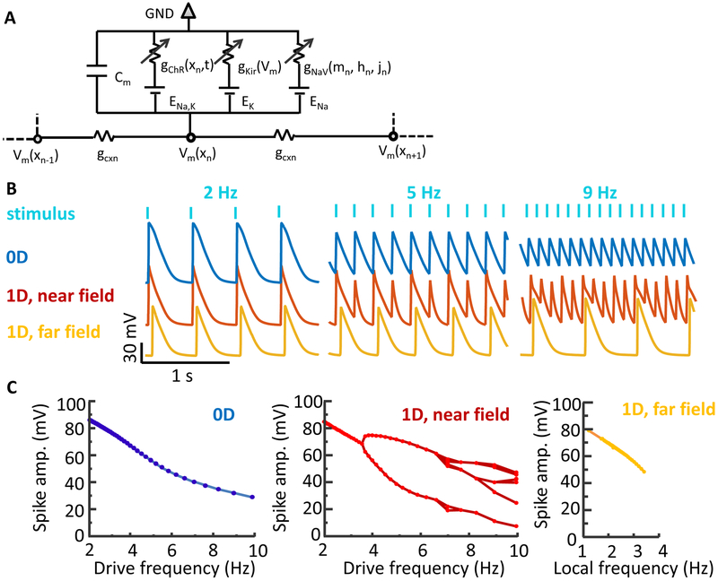 Figure 3: