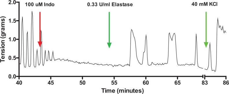 Figure 7.