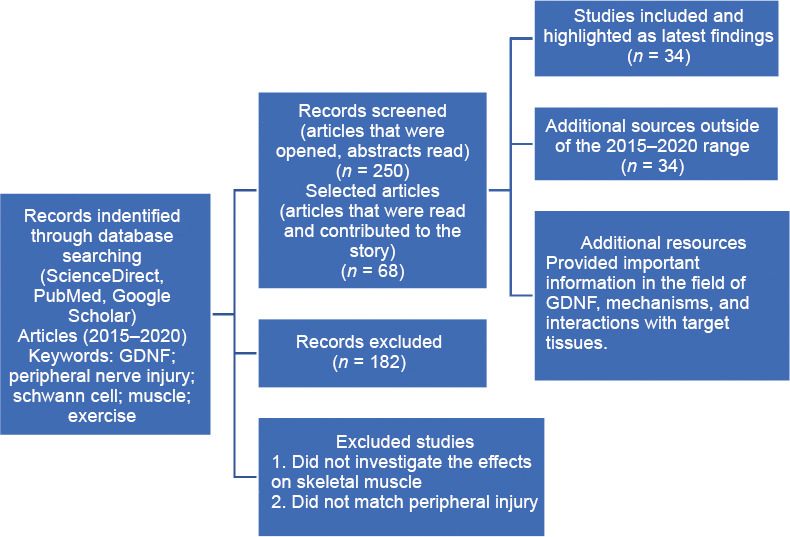 GDNF to the rescue: GDNF delivery effects on motor neurons and nerves ...