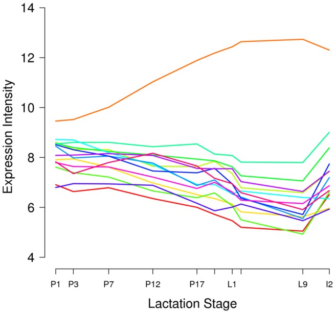 Figure 6