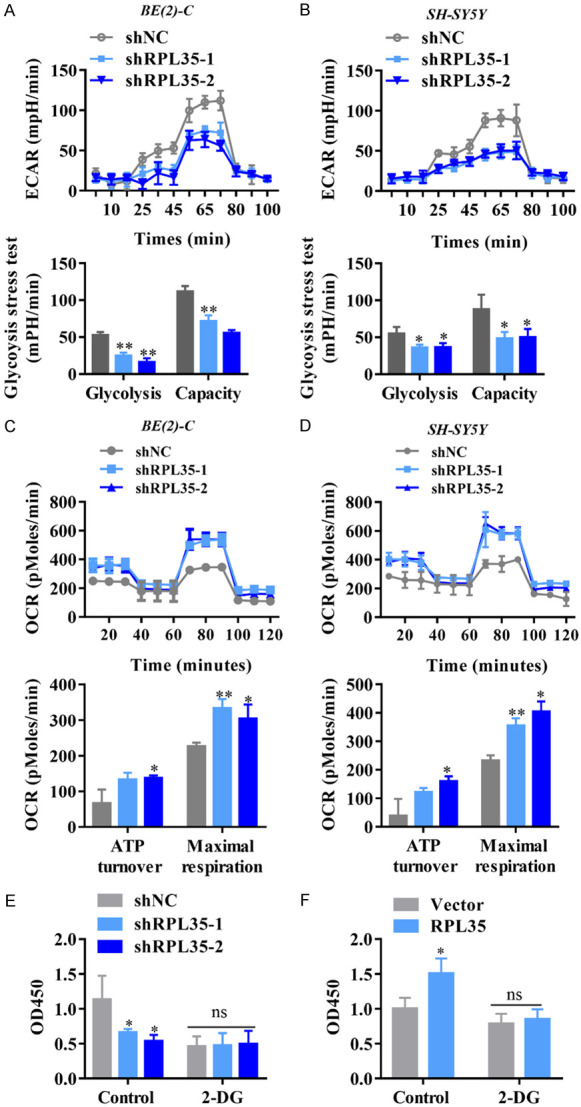 RPL35 promotes neuroblastoma progression via the enhanced aerobic ...