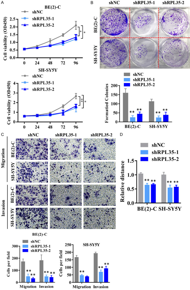 RPL35 promotes neuroblastoma progression via the enhanced aerobic ...