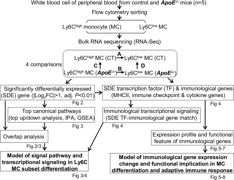 Figure 1